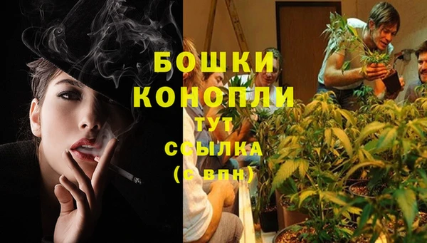 МДПВ Болохово