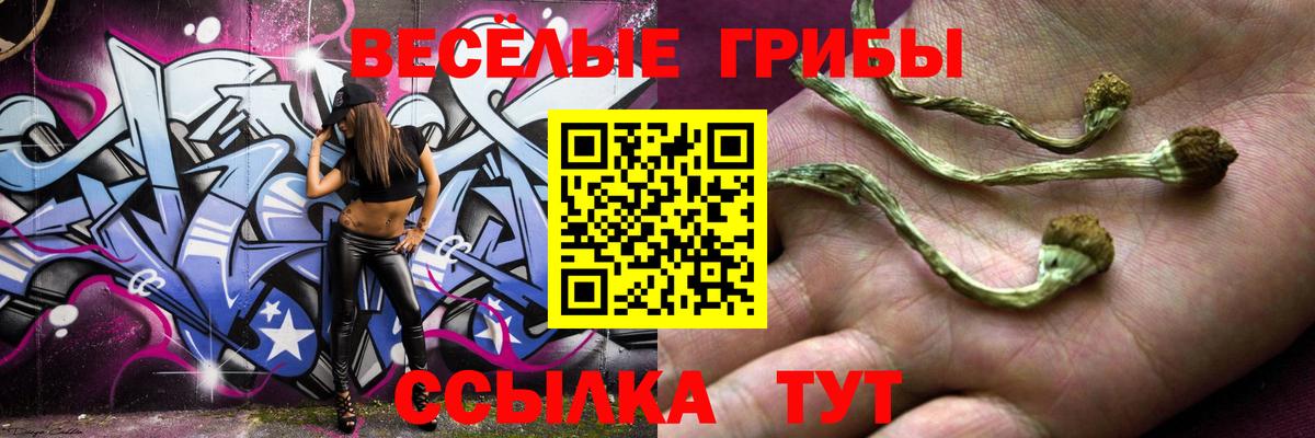 Псилоцибиновые грибы мухоморы  Псилоцибиновые грибы мицелий  Советск  Вход с VPN 