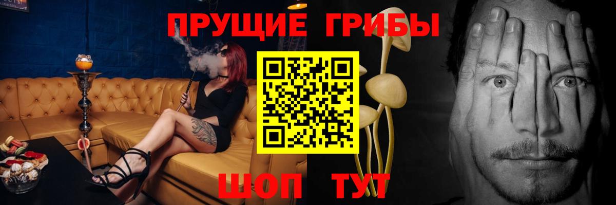 Галлюциногенные грибы Cubensis Советск